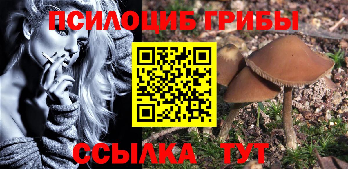 МЕФ  APVP СК   МЕТАМФЕТАМИН  Меф МЯУ МЯУ   Бошки Шишки  Купить наркотики цена  ГАШИШ  Кингисепп  Лсд 25  МАРИХУАНА  Кокаин  Вход с VPN 