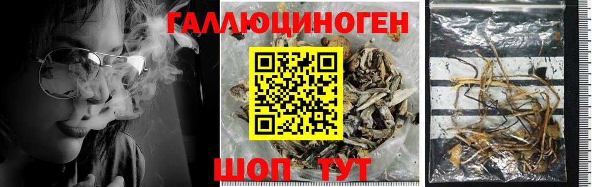 Галлюциногенные грибы ЛСД Кингисепп