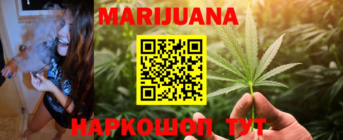 Бошки Шишки планчик Кингисепп